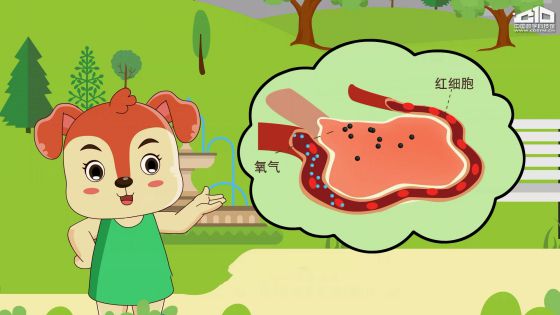 太阳城娱乐