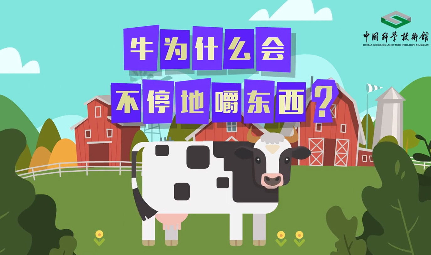 太阳城娱乐