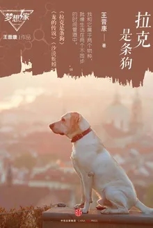 太阳城娱乐