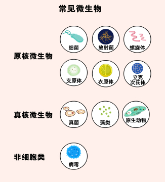 太阳城娱乐