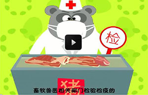 瘦猪肉的秘密
