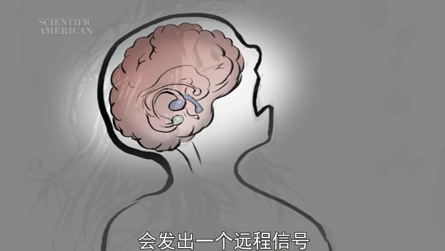 太阳城娱乐