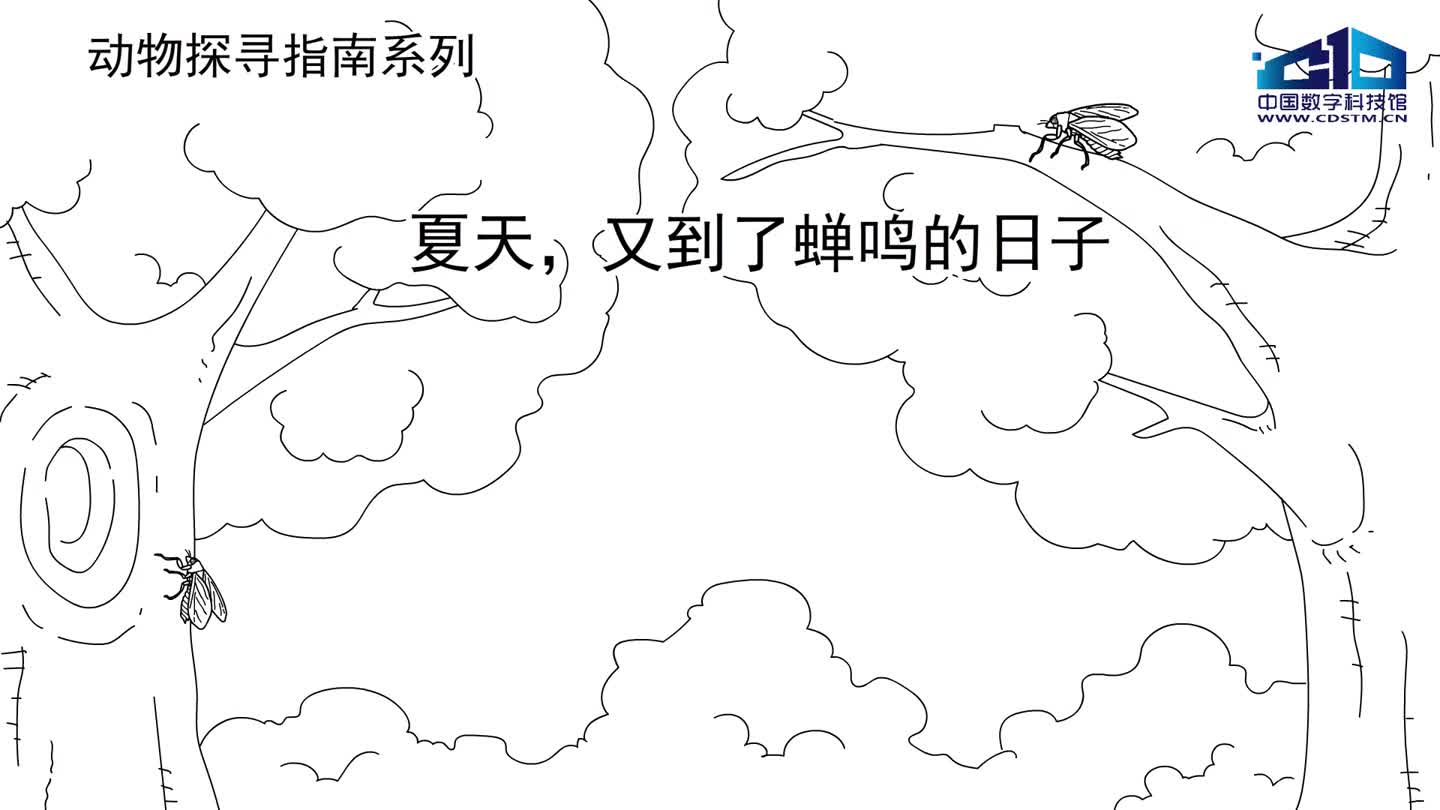 太阳城娱乐
