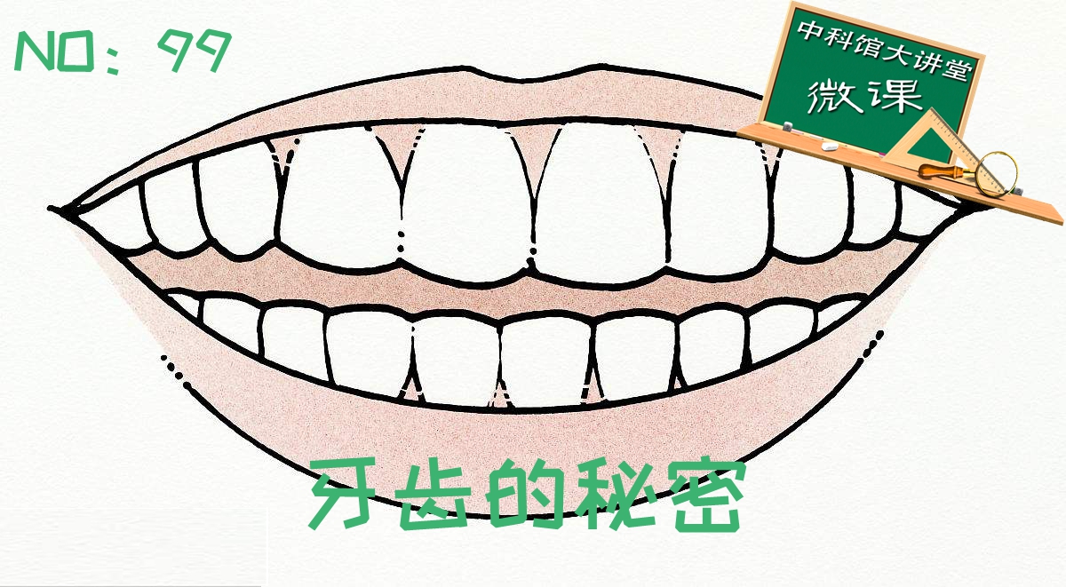 太阳城娱乐