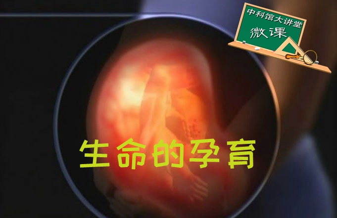 太阳城娱乐