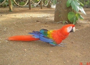 太阳城娱乐