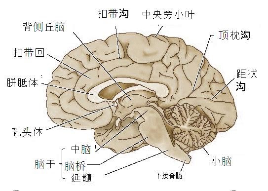太阳城娱乐