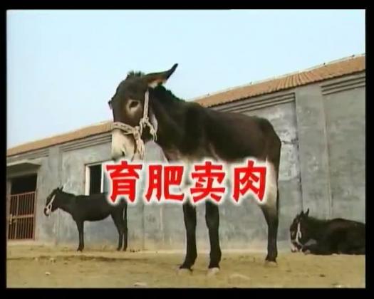 太阳城娱乐