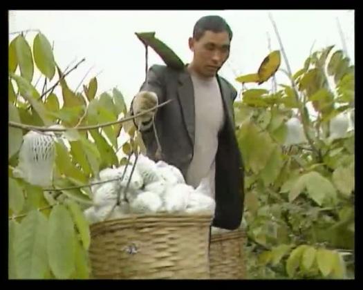 太阳城娱乐