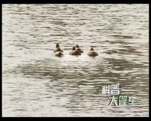 太阳城娱乐