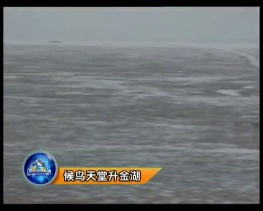 太阳城娱乐