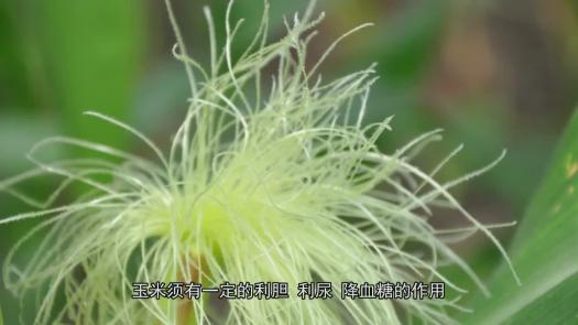 太阳城娱乐