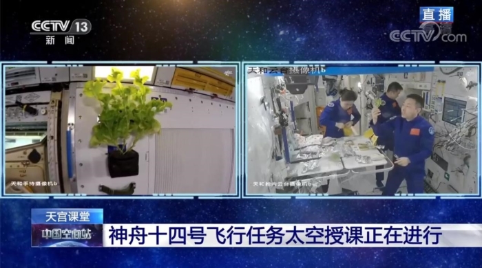 太阳城娱乐